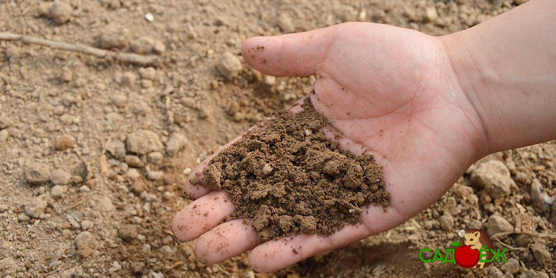 Эффективные способы разрыхления почвы