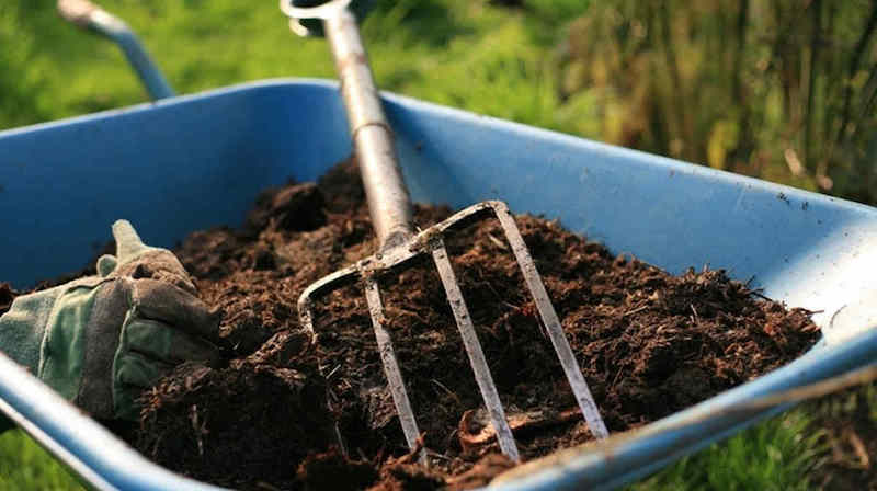 Внесение в почву компоста