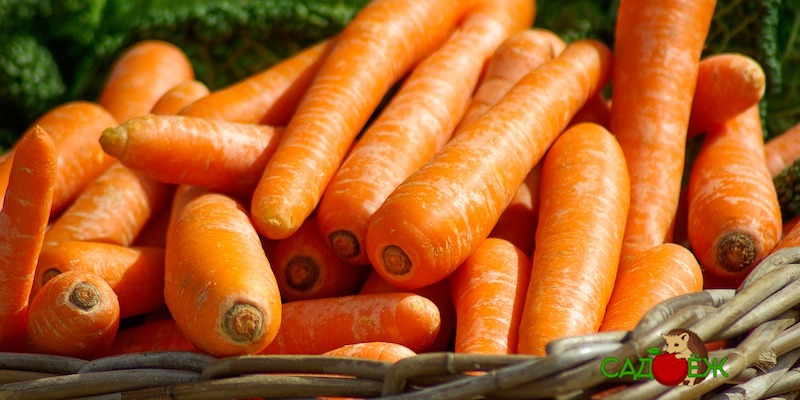 Как правильно хранить морковь зимой в погребе?