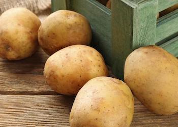 Хранение картофеля зимой: что делать нельзя?