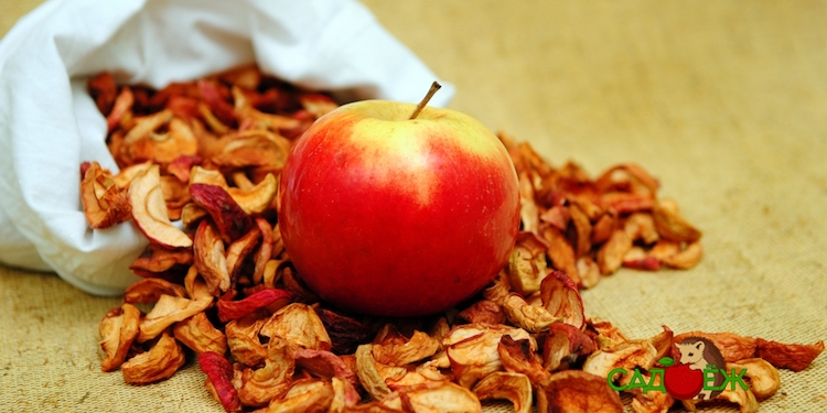 Как хранить сушеные яблоки в домашних условиях?