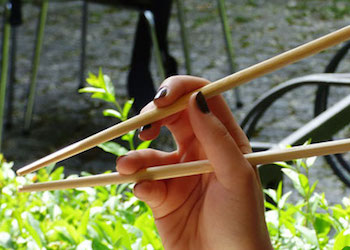 Как использовать бамбуковые палочки для суши в огороде?