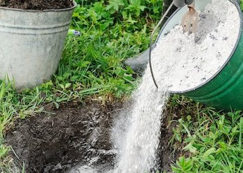 Как и чем раскислить почву в огороде?