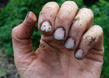 Что сделать, чтобы под ногти не забивалась земля при работе в огороде