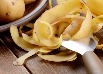 Полезное применение картофельных очисток в саду и огороде