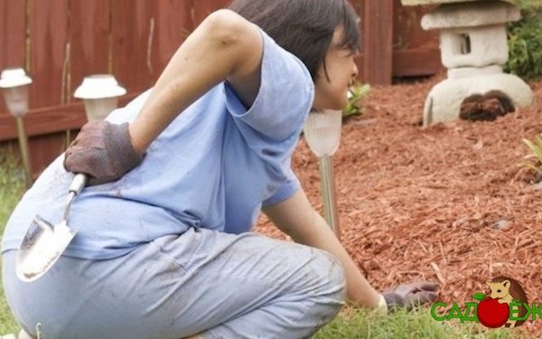 6 приспособлений, облегчающих труд в огороде: чтобы после работы в огороде не болела спина и колени